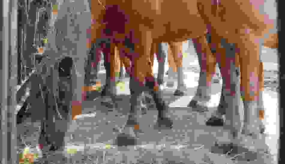 Ironstone Farm Equine Therapy, Horse, Non Profit